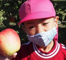 10月26日　園外保育としてリンゴ狩りをしました